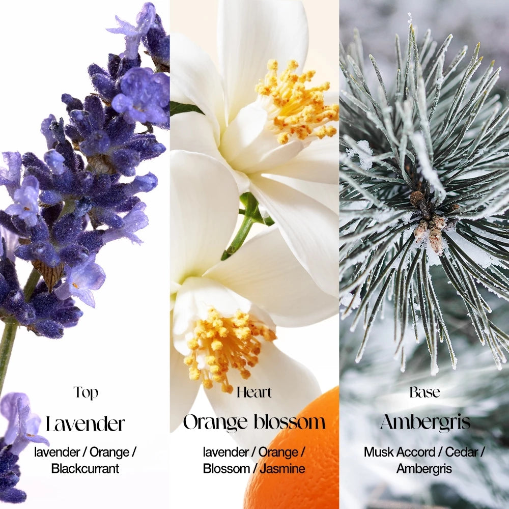 Libre Blossom Fresh Wonderland Parfum
