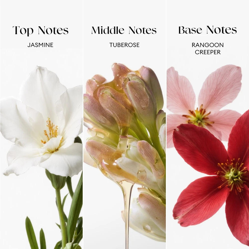 Bloom Secrets Fresh Wonderland Parfum