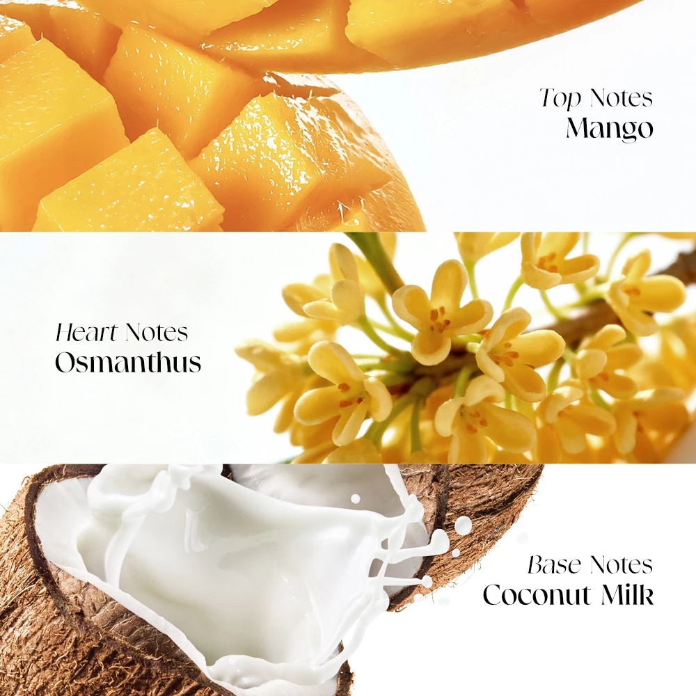 Sweet Haze Essence Dropper Perfume